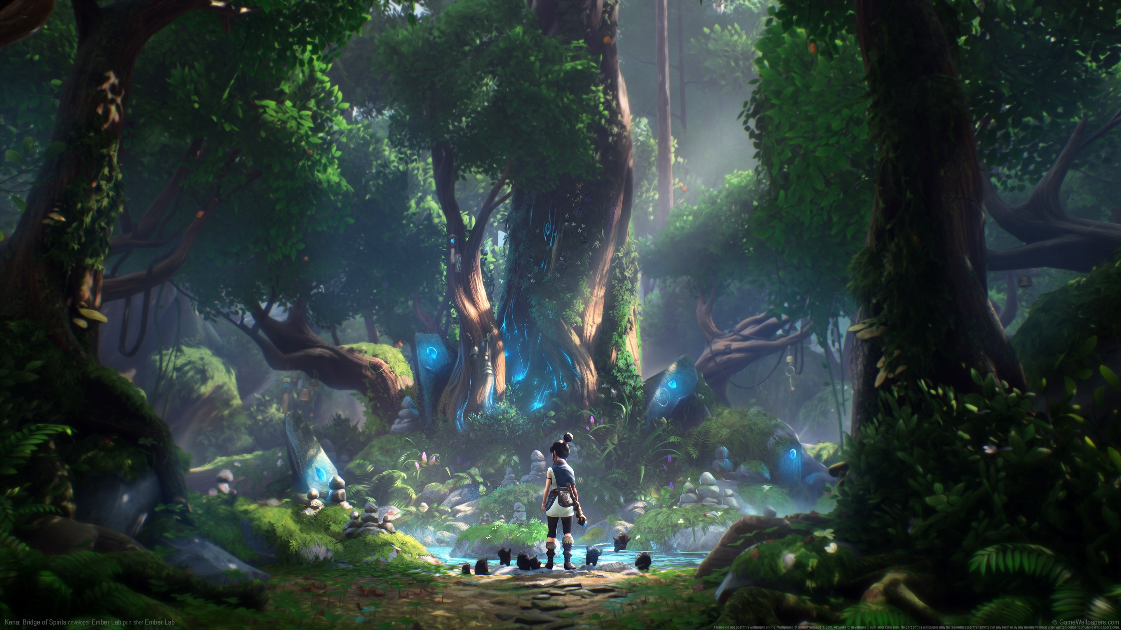 开云体育平台-当代码成为年轮，v7.2.5与时间之树的见证